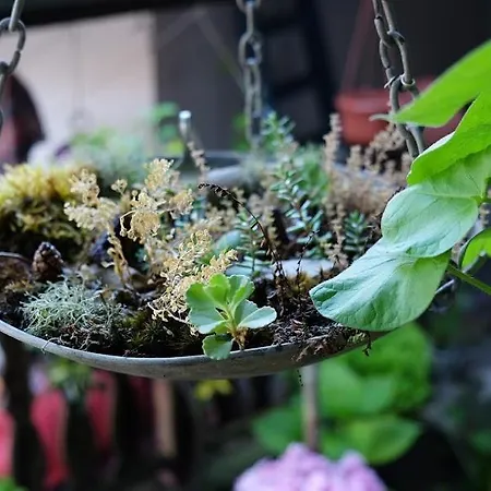 Ostello Hikers Veliko Tărnovo