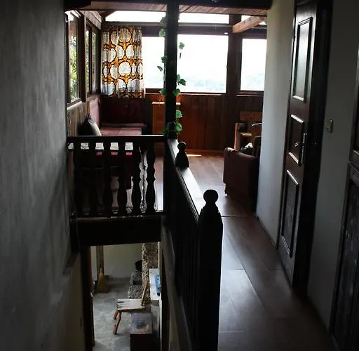 Hikers Wielkie Tyrnowo