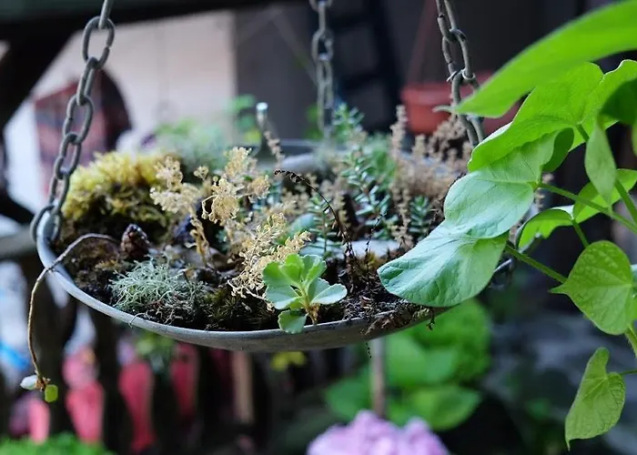 Hostel Hikers Wielkie Tyrnowo